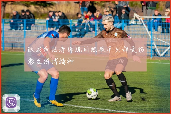 狄龙向记者诉说训练艰辛头部受伤彰显拼搏精神